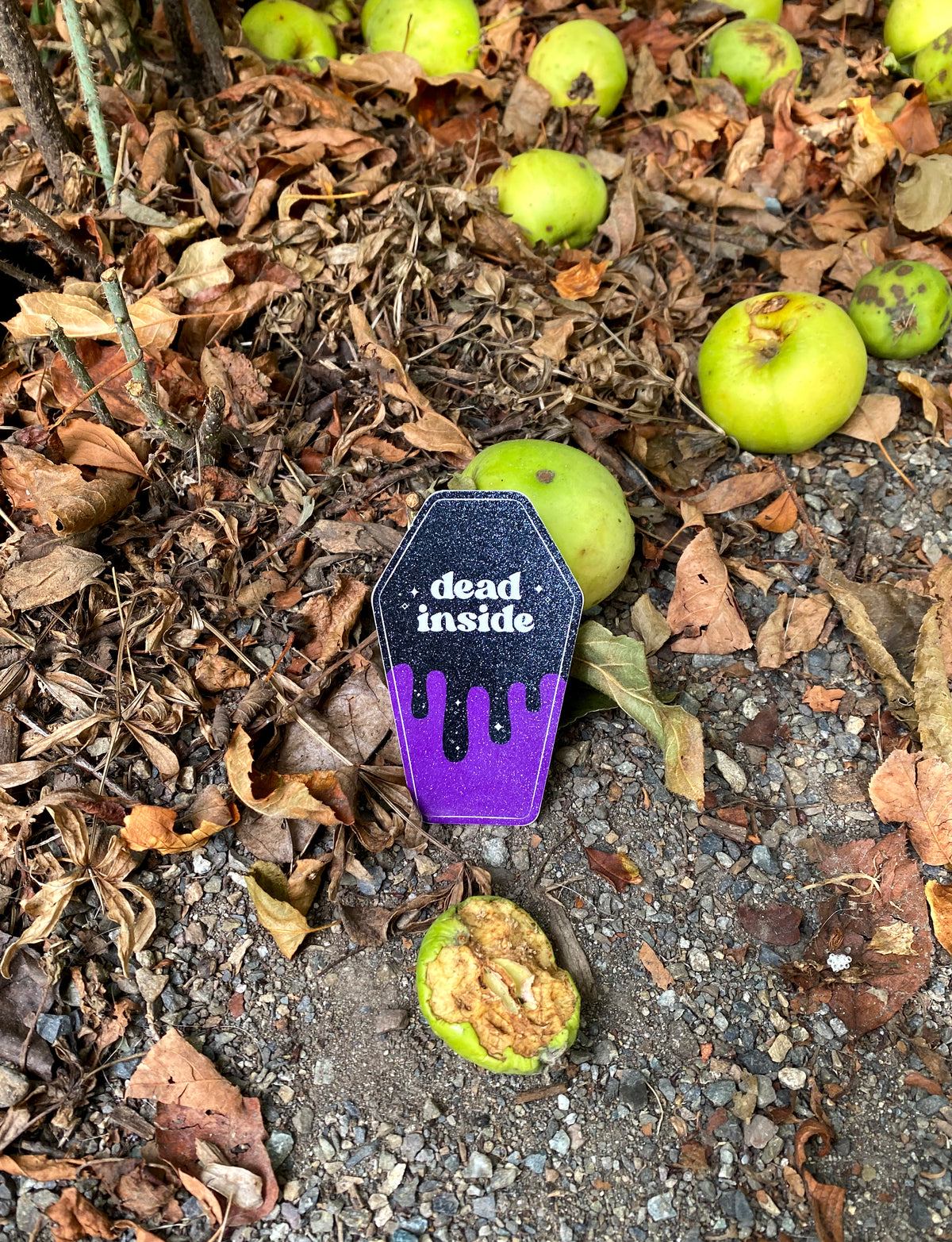 B-Grade Glitter Finish Dead Inside Vinyl Sticker